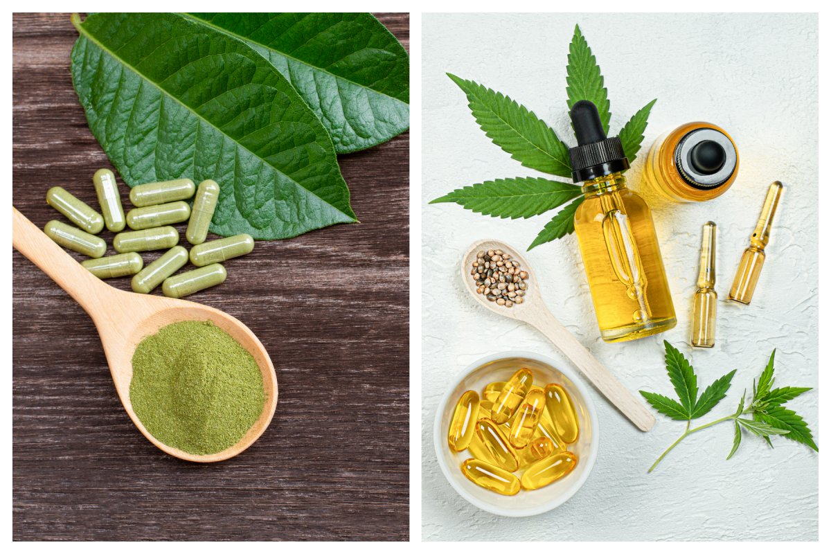 Combining CBD with Kratom: Potential Effects and Considerations – Smoke &  Vape Shops