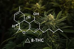 Understanding Delta-8 THC: Benefits, Risks, and Legal Status