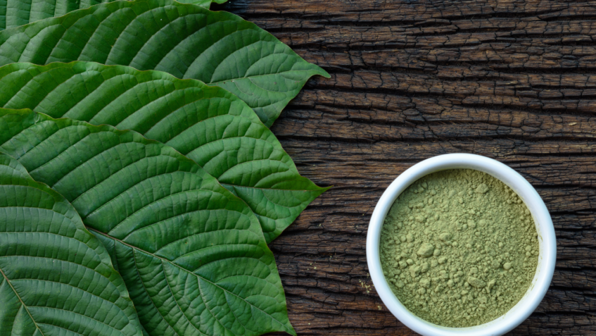Dispelling Common Misconceptions About Kratom: Separating Fact from Fiction
