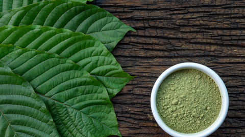 Dispelling Common Misconceptions About Kratom: Separating Fact from Fiction