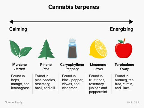 Understanding Terpenes: The Aromatic Compounds in Your Vape Juice Smoke & Vape Shops Understanding Terpenes: The Aromatic Compounds in Your Vape Juice Smoke & Vape Shops