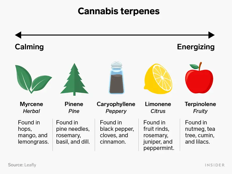 Understanding Terpenes: The Aromatic Compounds in Your Vape Juice